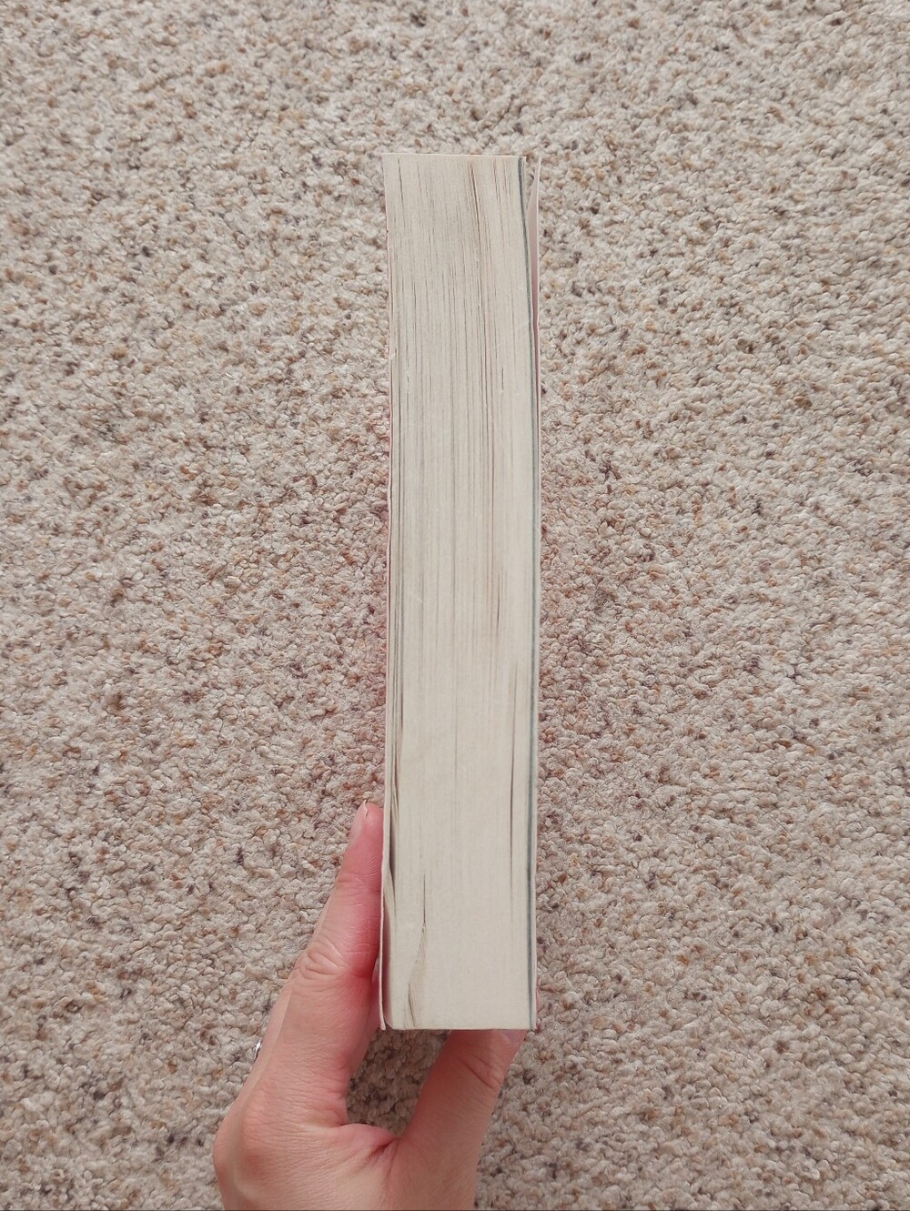 A Court Of Thorns And Roses Sarah J. Maas Book Fantasy Romance - Picture 7 of 12